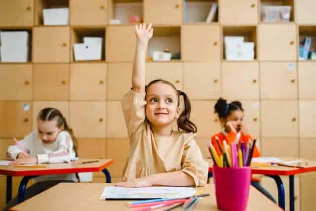 child raising hand - self-efficacy in teaching