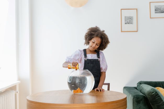 Girl feeding goldfish