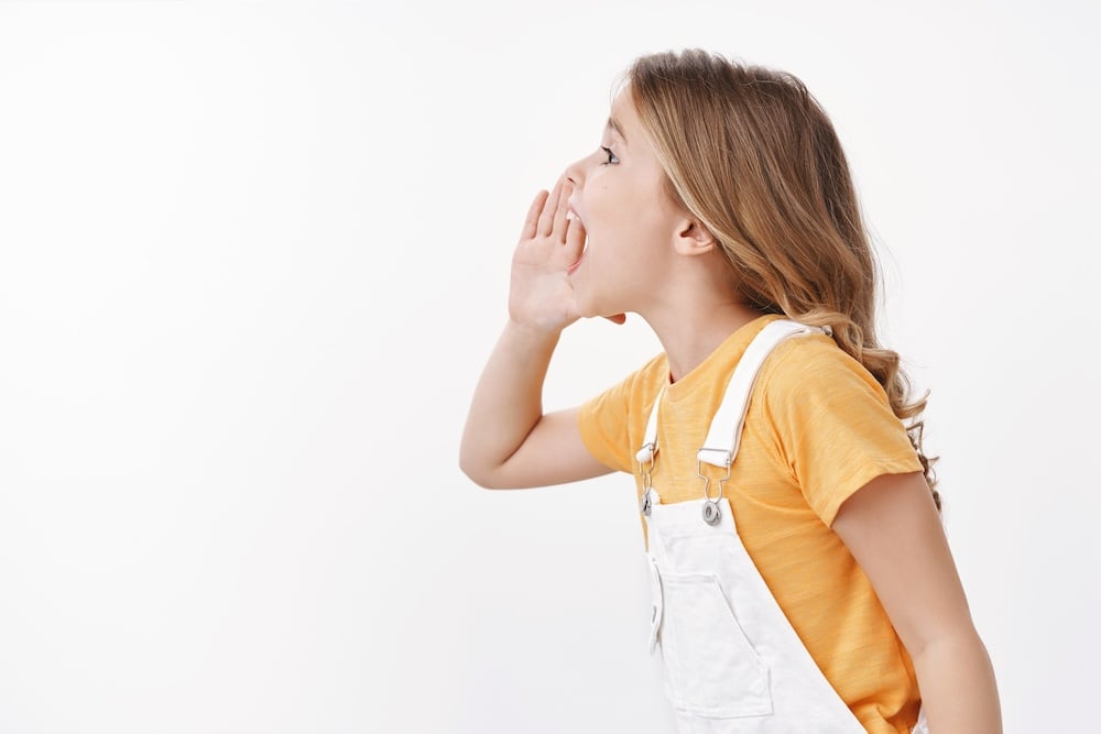 Assertiveness vs. Aggressiveness - Speaking Up