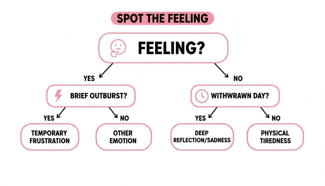 A flowchart titled 'Spot the Feeling' helps differentiate emotions like frustration, sadness, and tiredness.