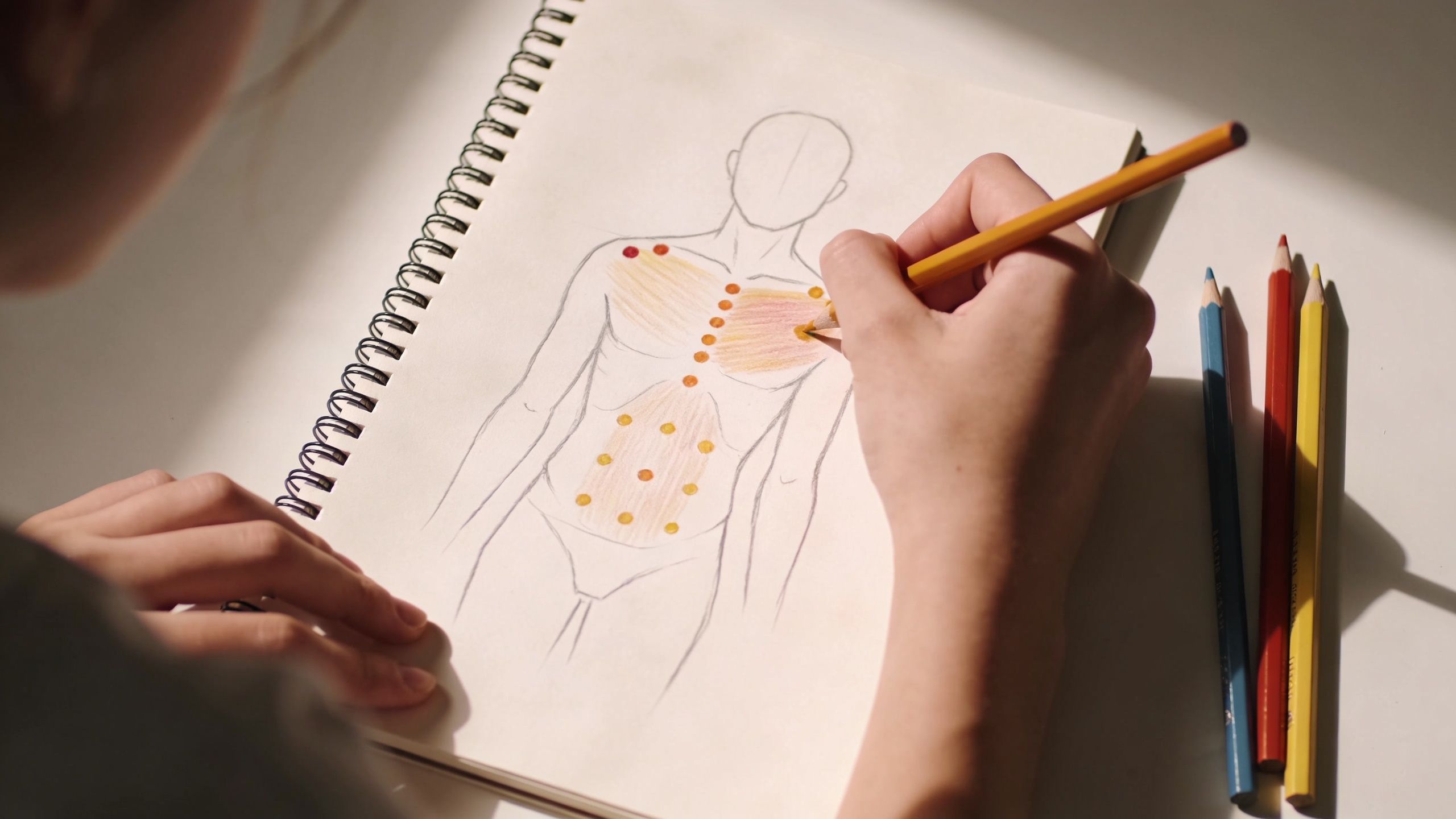 A person sketching an anatomical body outline in a spiral-bound journal with colored pencils on a desk.