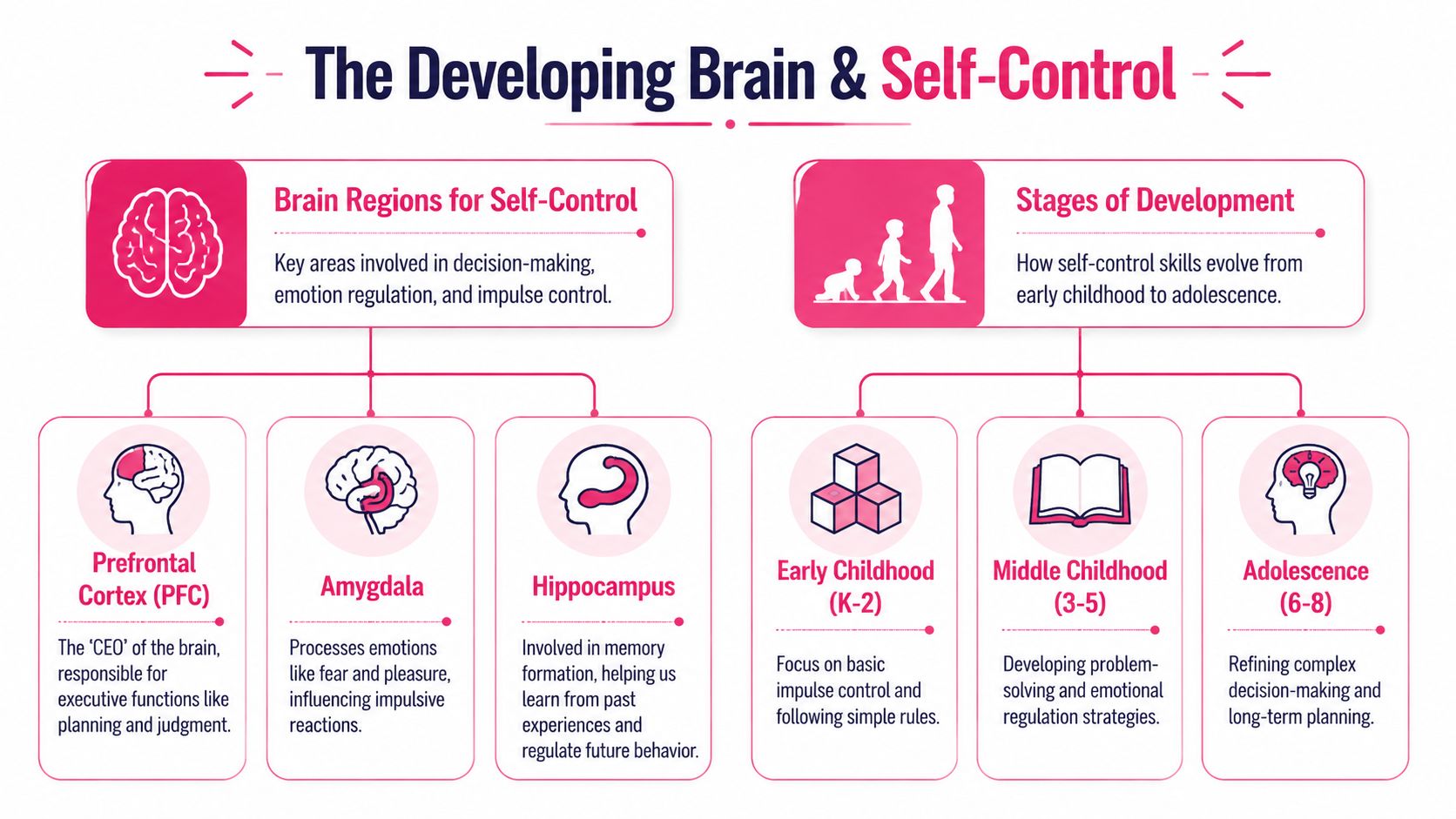 An educational infographic explaining brain development and self-control stages from early childhood through adolescence.