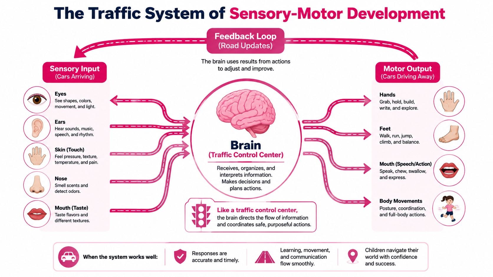 An infographic showing the traffic system of sensory-motor development involving brain processing, sensory input, and motor output.